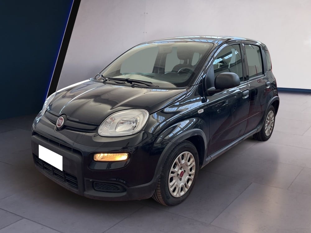 Fiat Panda usata a Torino (2)