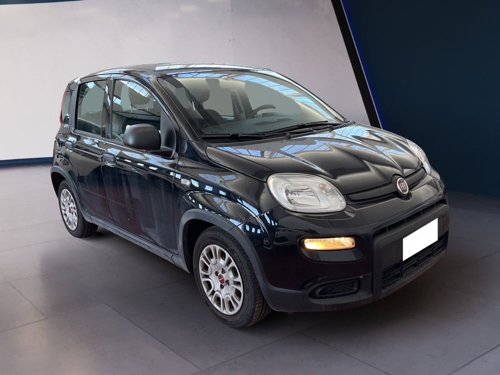 Fiat Panda usata a Torino (3)