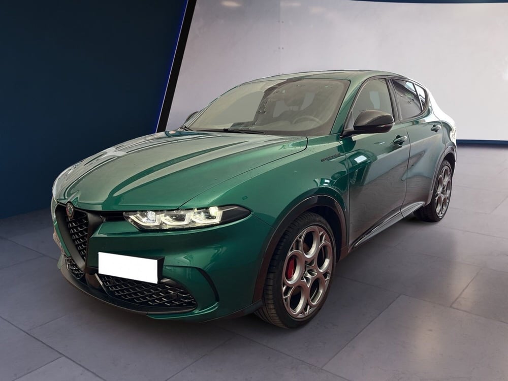 Alfa Romeo Tonale usata a Torino (2)