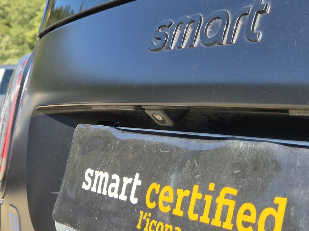 smart Fortwo usata  (14)