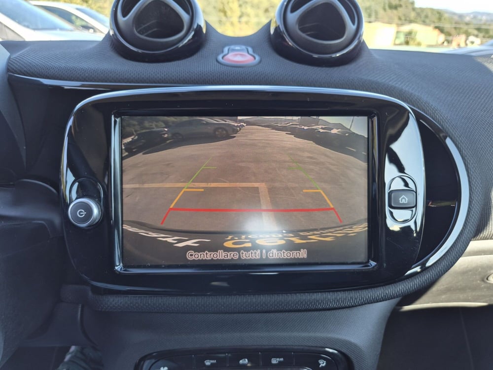 smart Fortwo usata  (13)