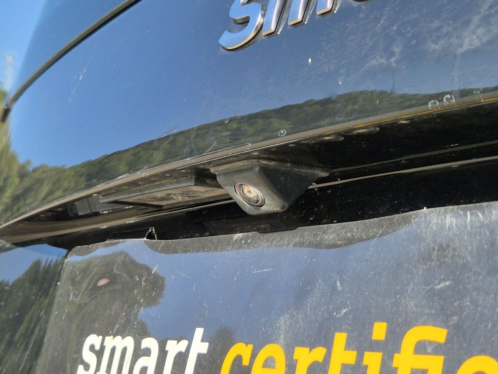 smart Fortwo usata  (14)