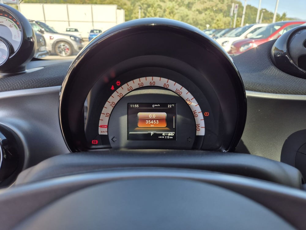 smart Fortwo usata  (12)