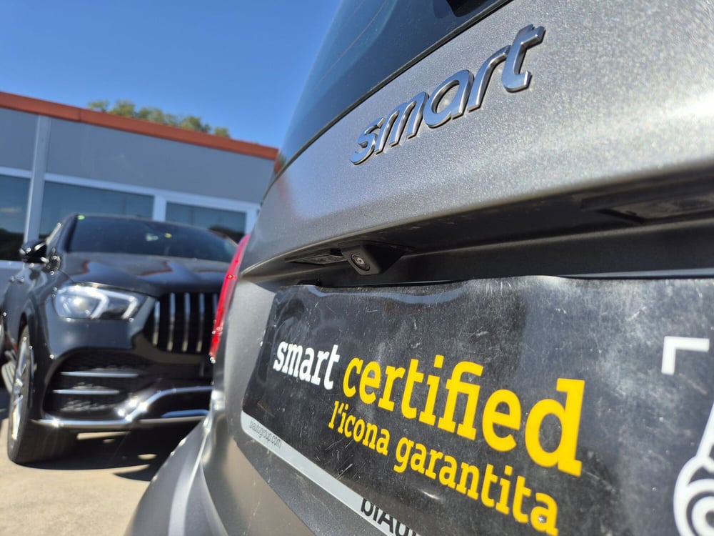 smart Fortwo usata  (14)