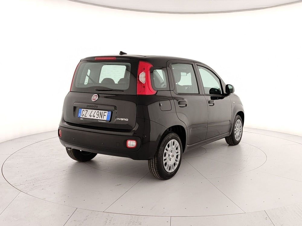 Fiat Panda Cross nuova a Caserta (6)