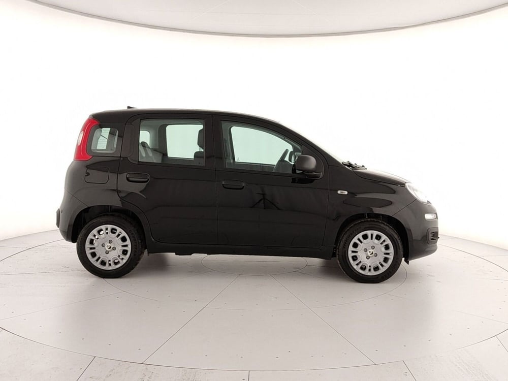 Fiat Panda Cross nuova a Caserta (7)
