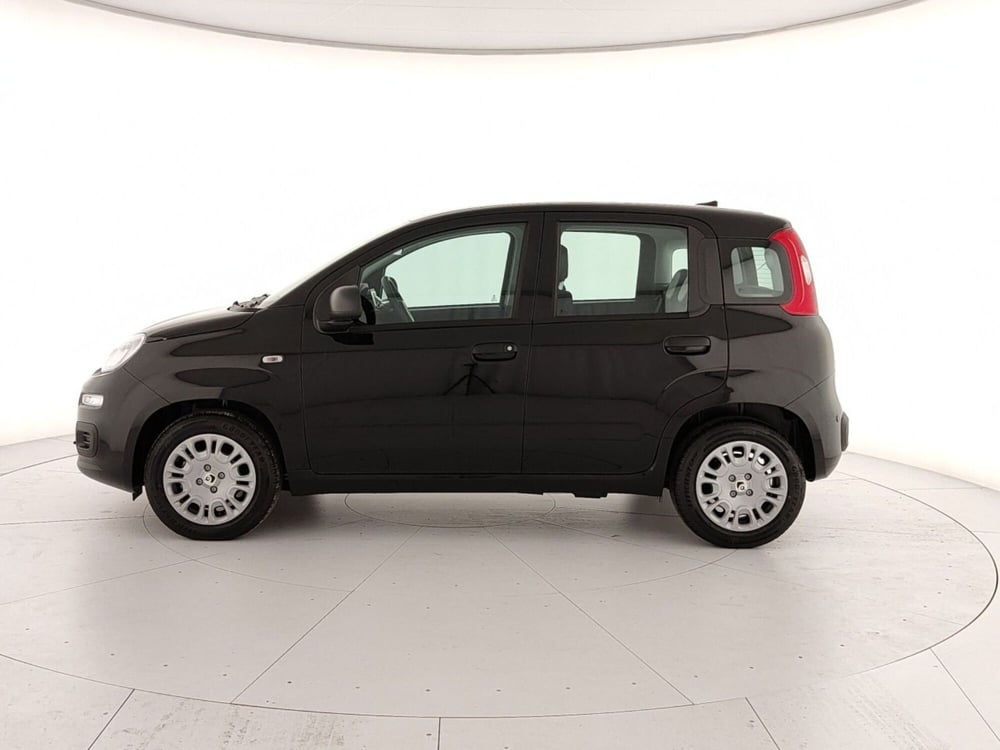 Fiat Panda Cross nuova a Caserta (8)