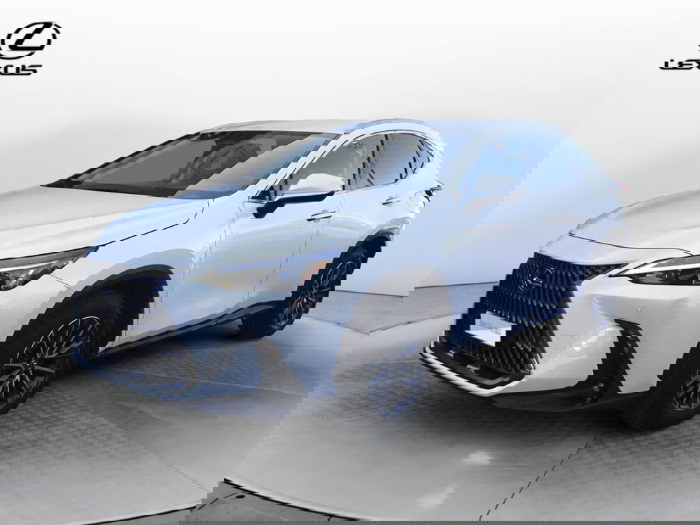 Lexus NX usata a Treviso