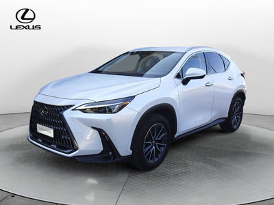 Lexus NX Hybrid 4WD Premium del 2023 usata a Montebelluna