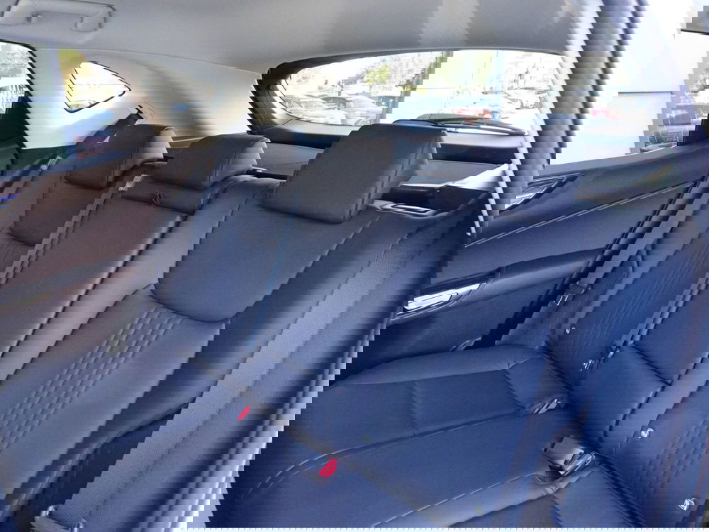 Lexus NX usata a Treviso (12)