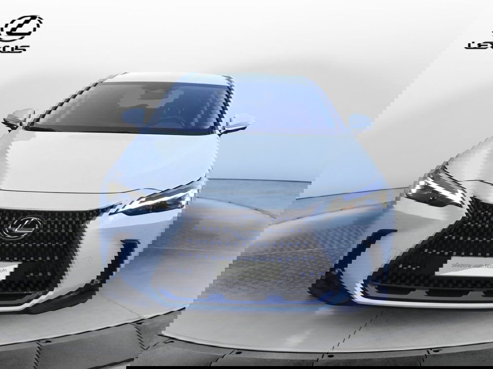 Lexus NX usata a Treviso (2)