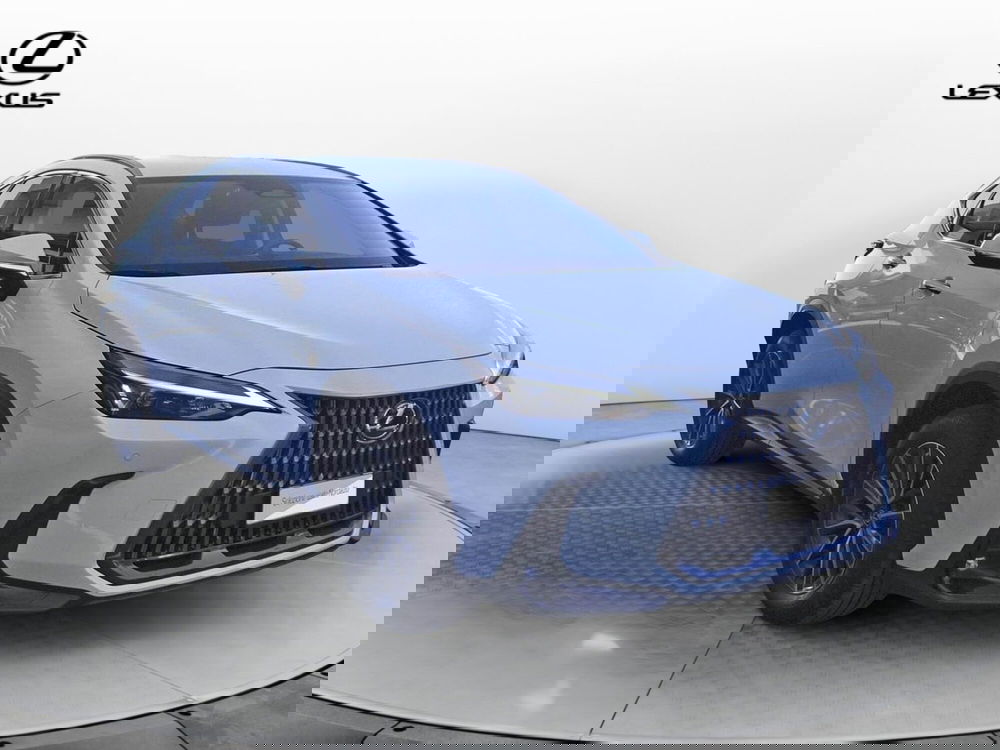 Lexus NX usata a Treviso (3)