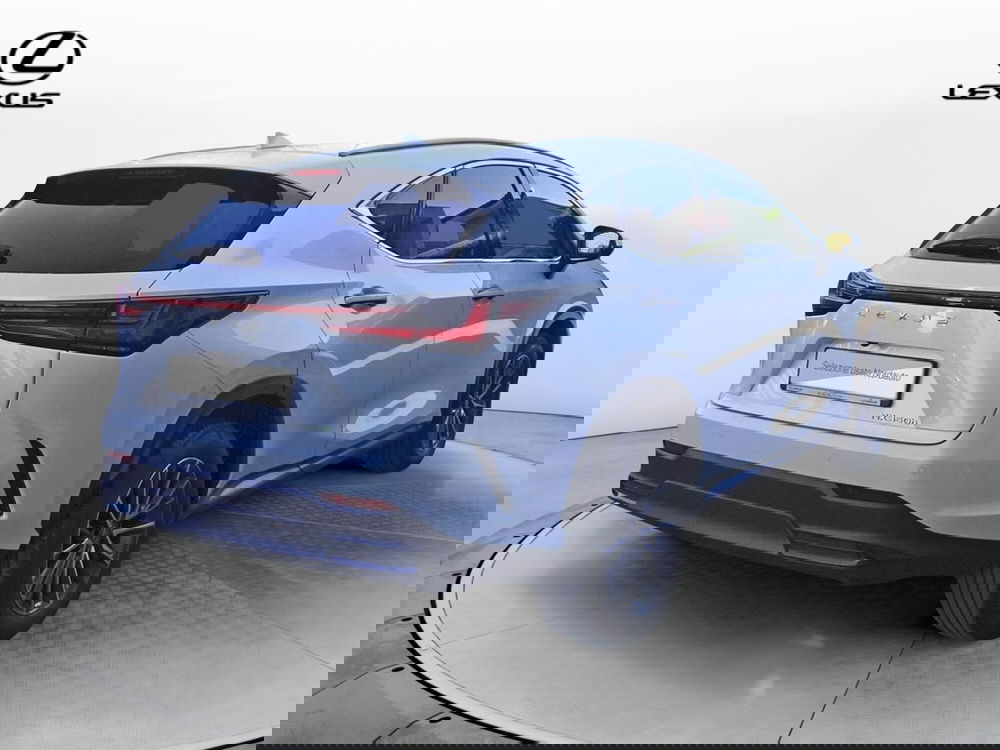 Lexus NX usata a Treviso (5)