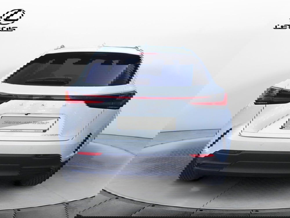 Lexus NX usata a Treviso (6)