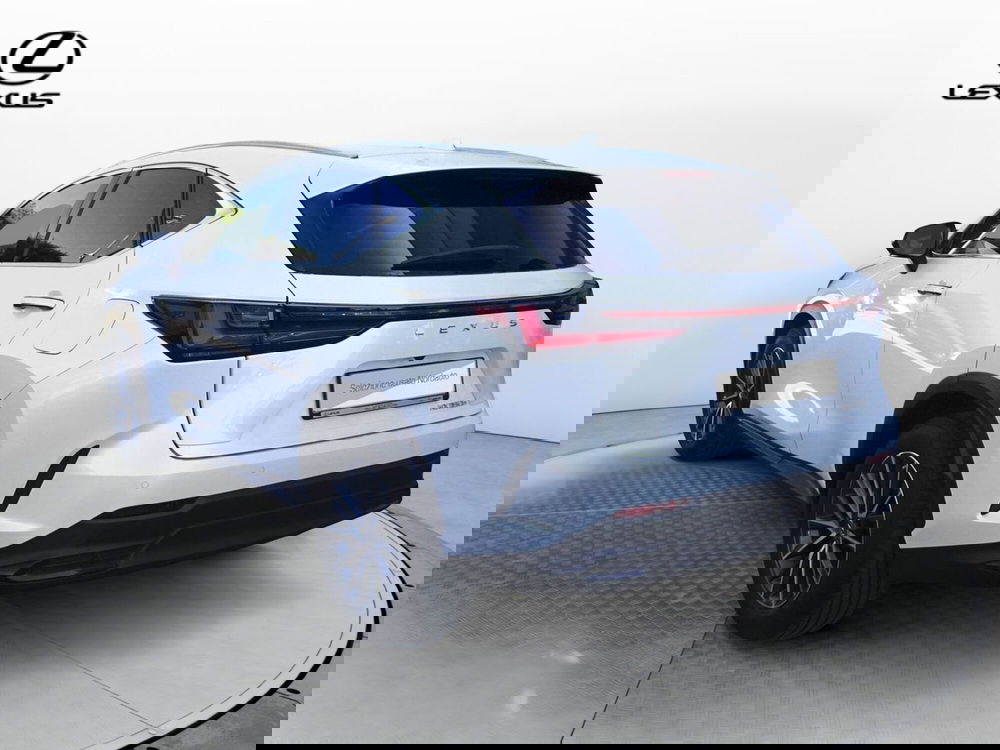 Lexus NX usata a Treviso (7)