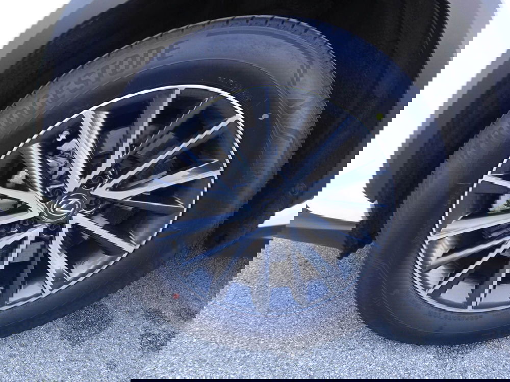 Lexus NX usata a Treviso (8)