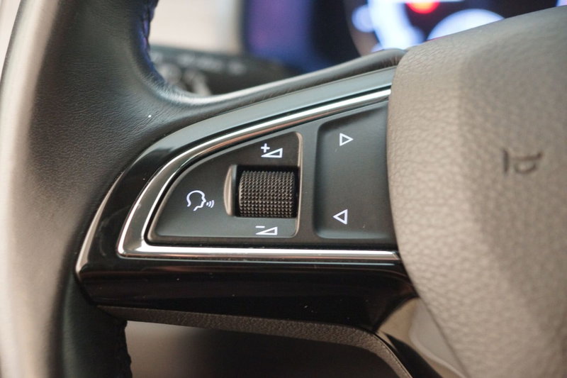 Skoda Kodiaq usata a Torino (15)