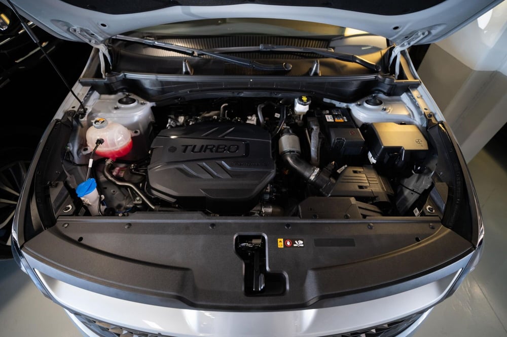 Kia Sportage usata a Torino (11)