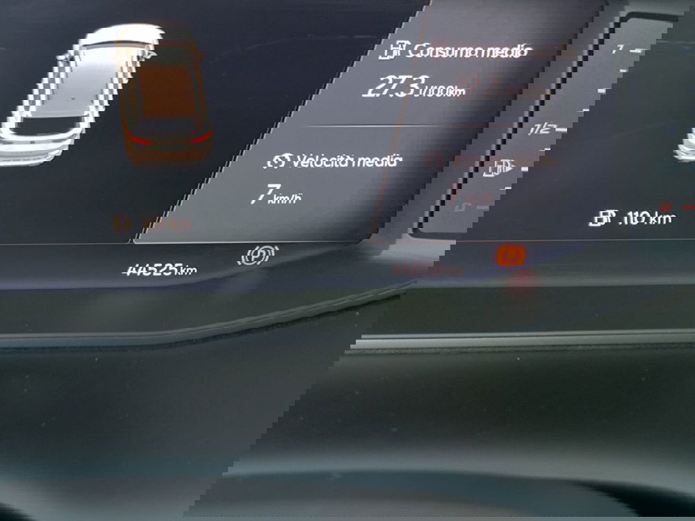 Cupra Ateca usata a Udine (14)