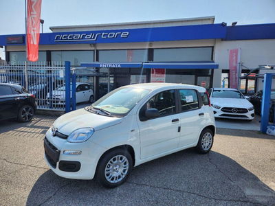 Fiat Panda 1.0 FireFly S&amp;S Hybrid City Cross nuova a Abbiategrasso