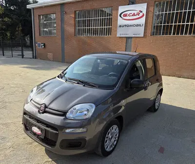 Fiat Panda 1.0 FireFly S&amp;S Hybrid del 2021 usata a Robassomero
