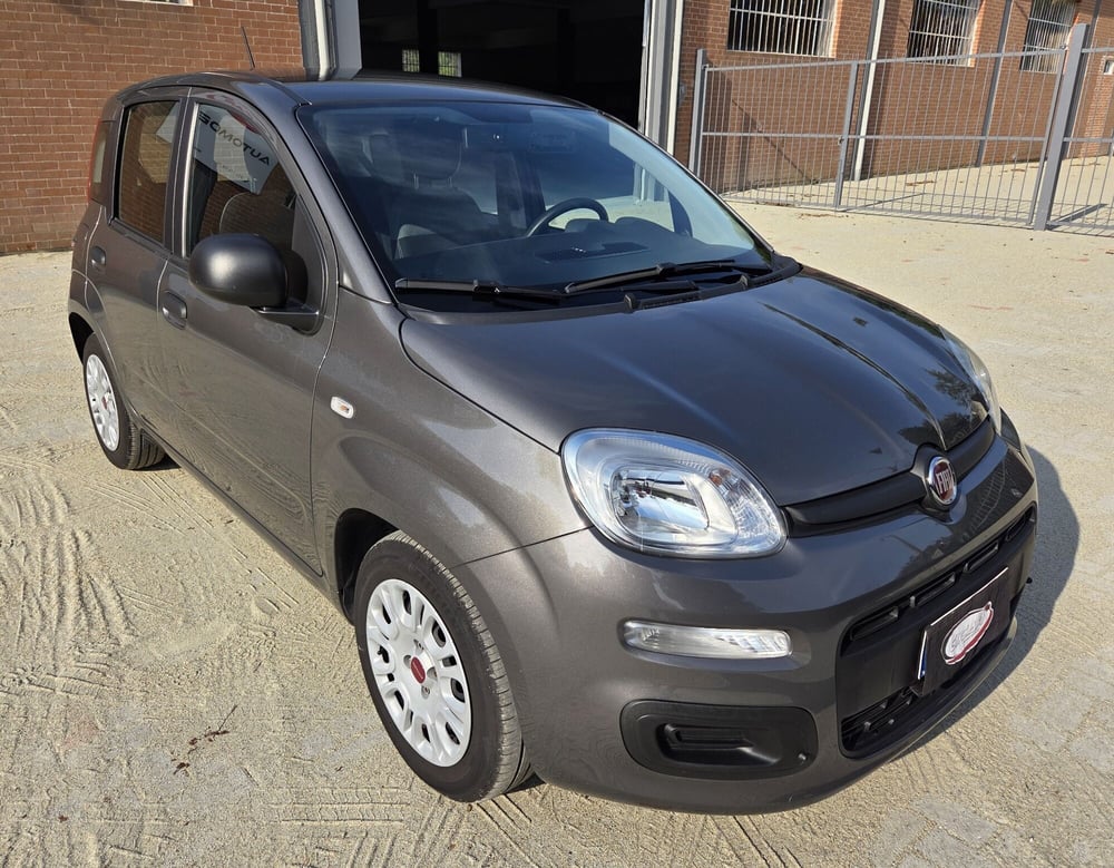 Fiat Panda usata a Torino (2)