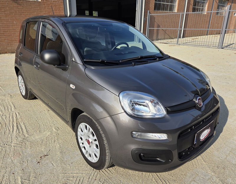 Fiat Panda usata a Torino (2)