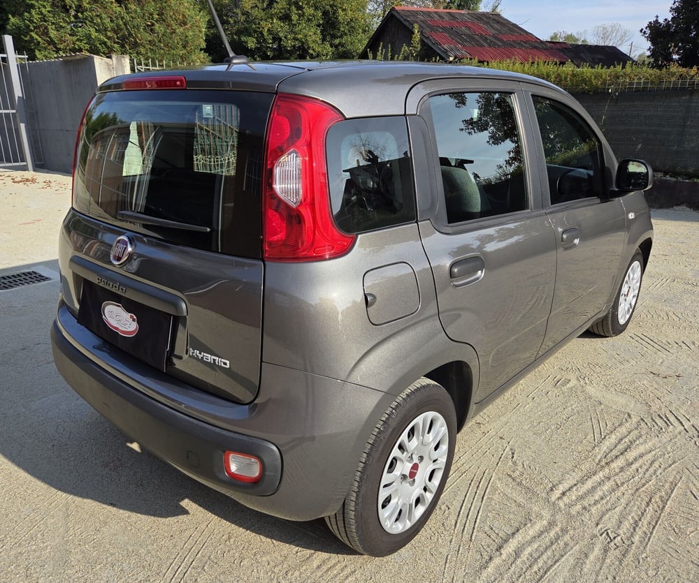 Fiat Panda usata a Torino (3)