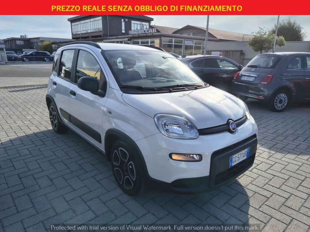 Fiat Panda usata a Firenze (3)