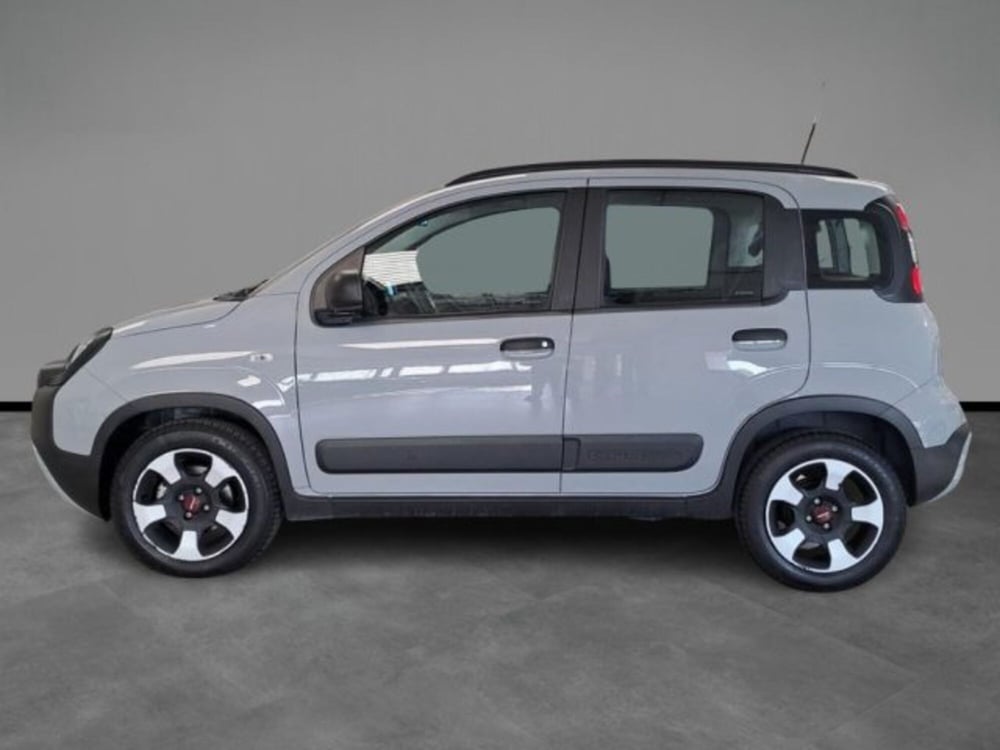 Fiat Panda usata a Verona (3)
