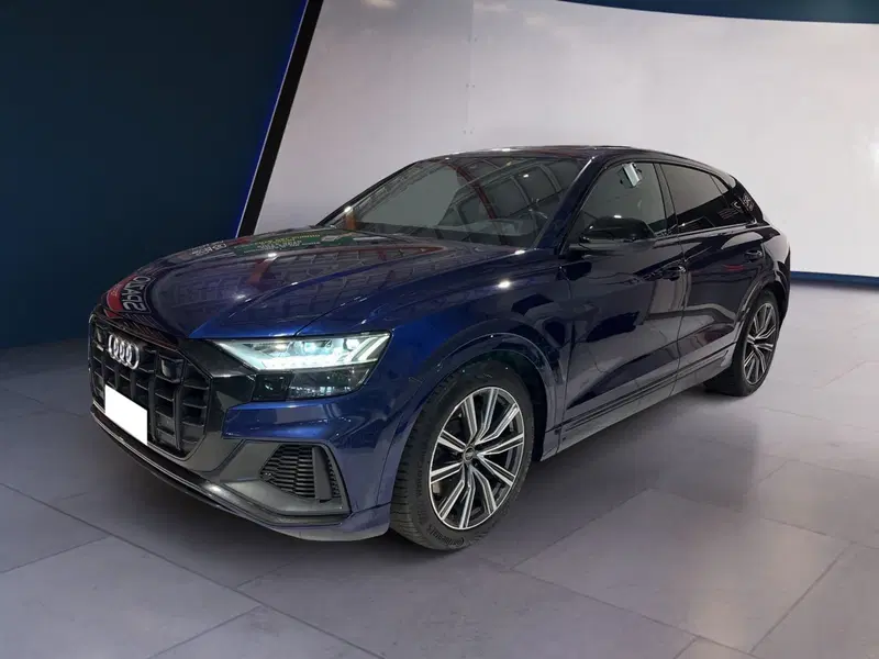 Audi RS Q8 usata a Torino (2)
