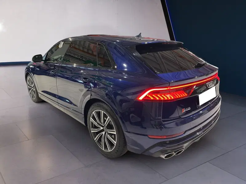 Audi RS Q8 usata a Torino (6)