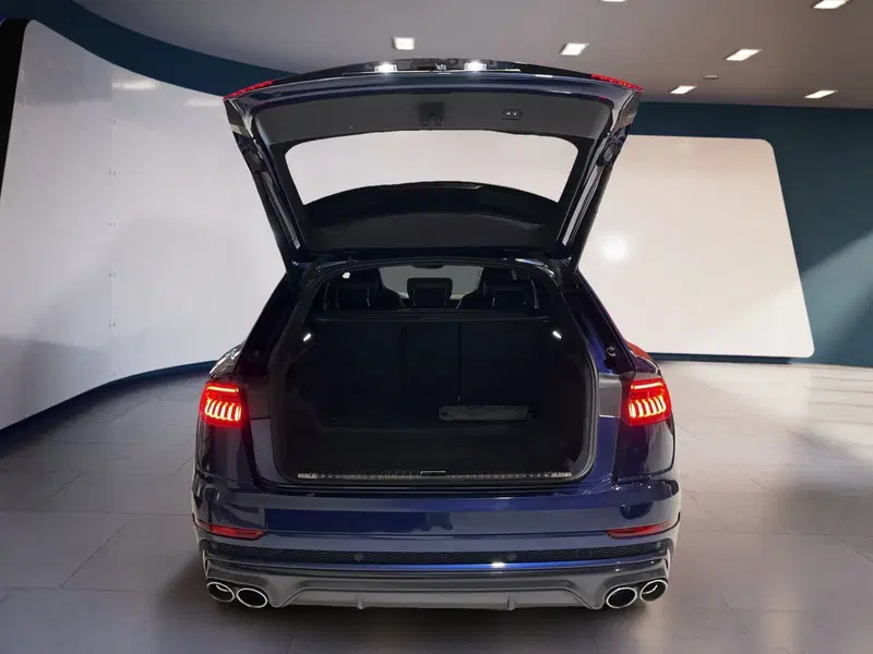 Audi RS Q8 usata a Torino (7)