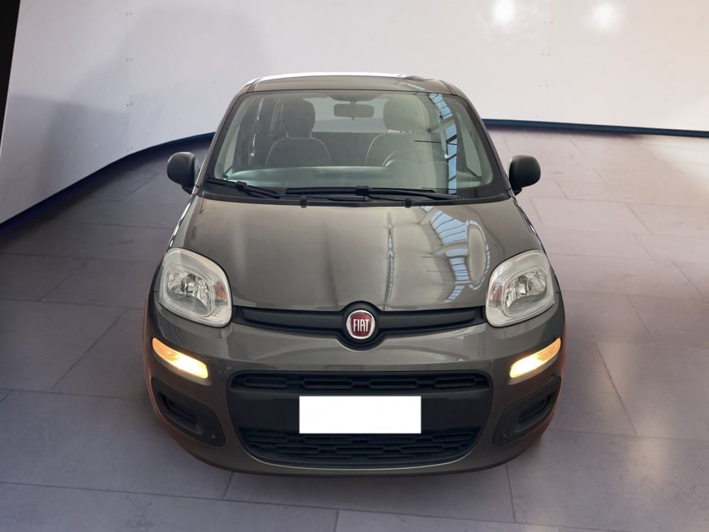 Fiat Panda usata a Torino