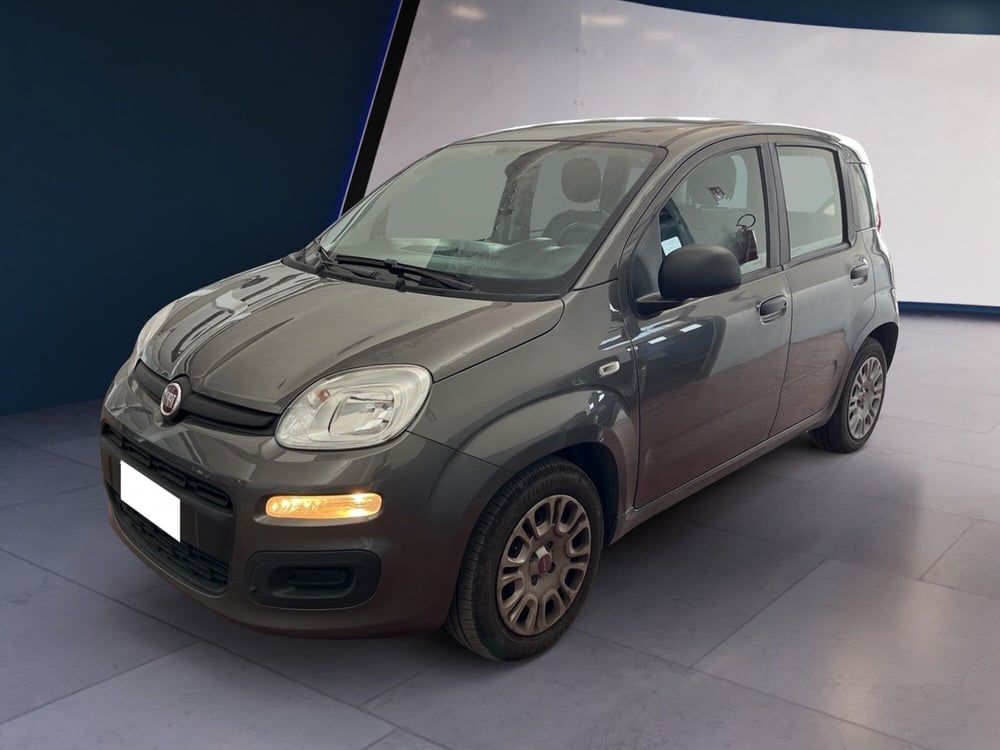 Fiat Panda usata a Torino (2)