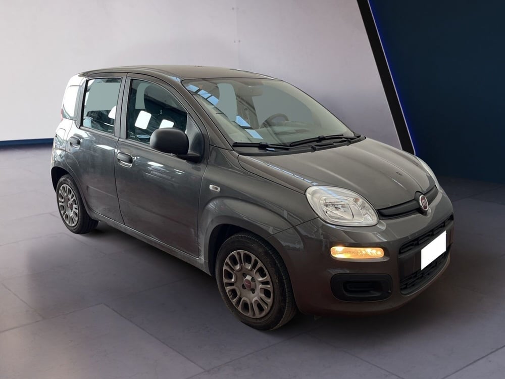 Fiat Panda usata a Torino (3)
