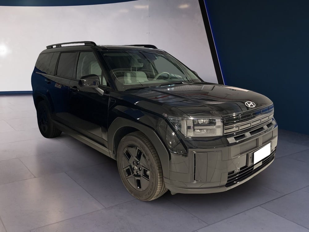 Hyundai Santa Fe usata a Torino (3)