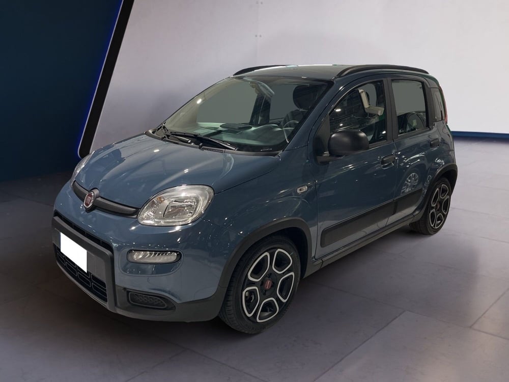 Fiat Panda usata a Torino (2)