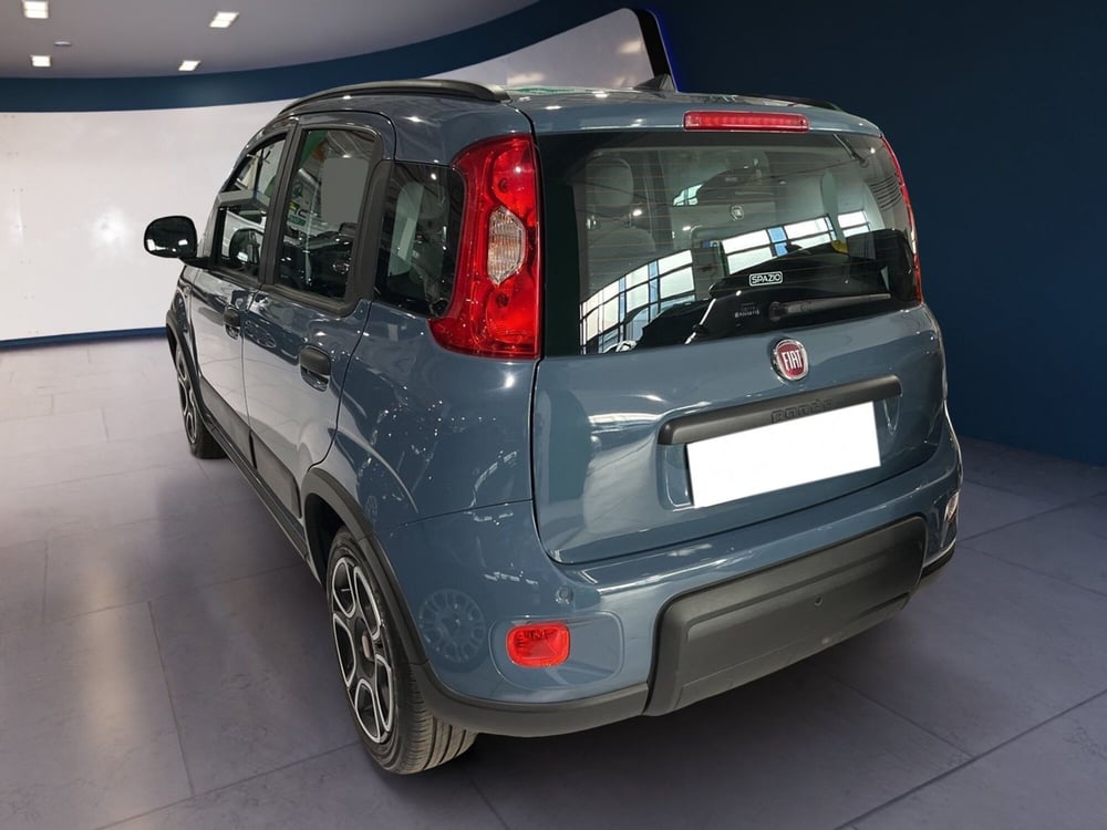 Fiat Panda usata a Torino (6)