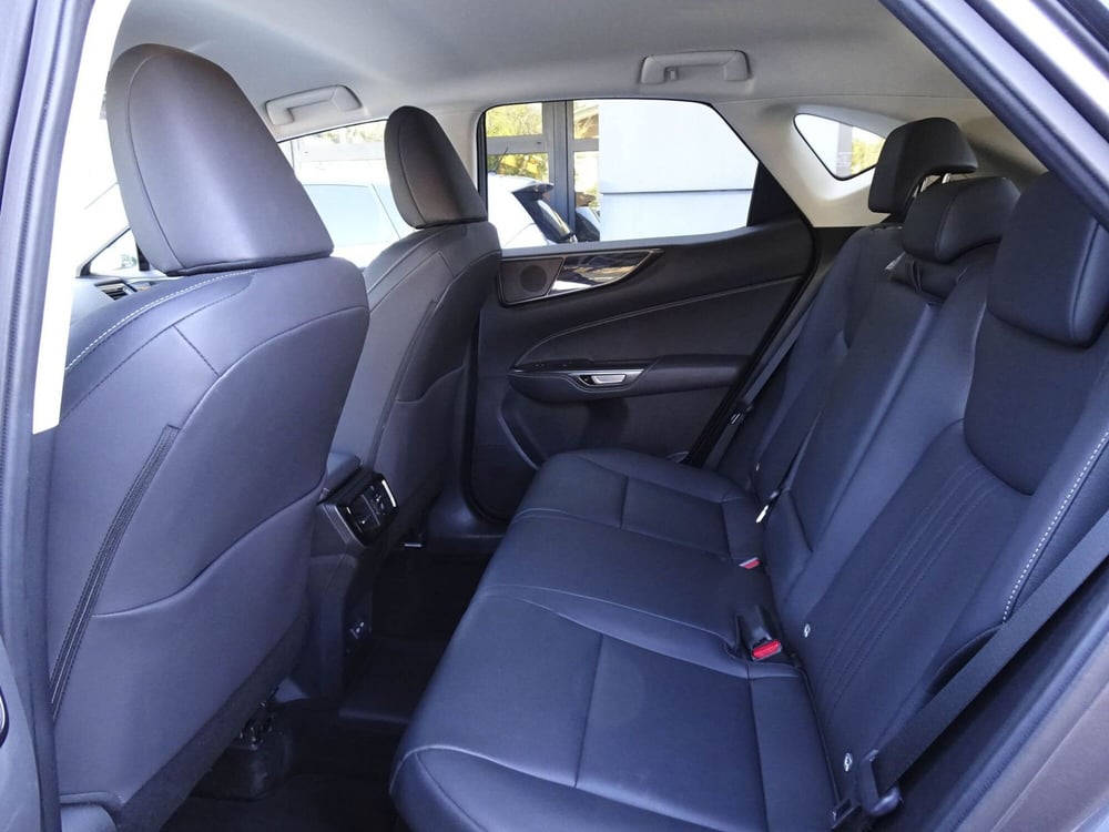 Lexus NX usata a Treviso (10)