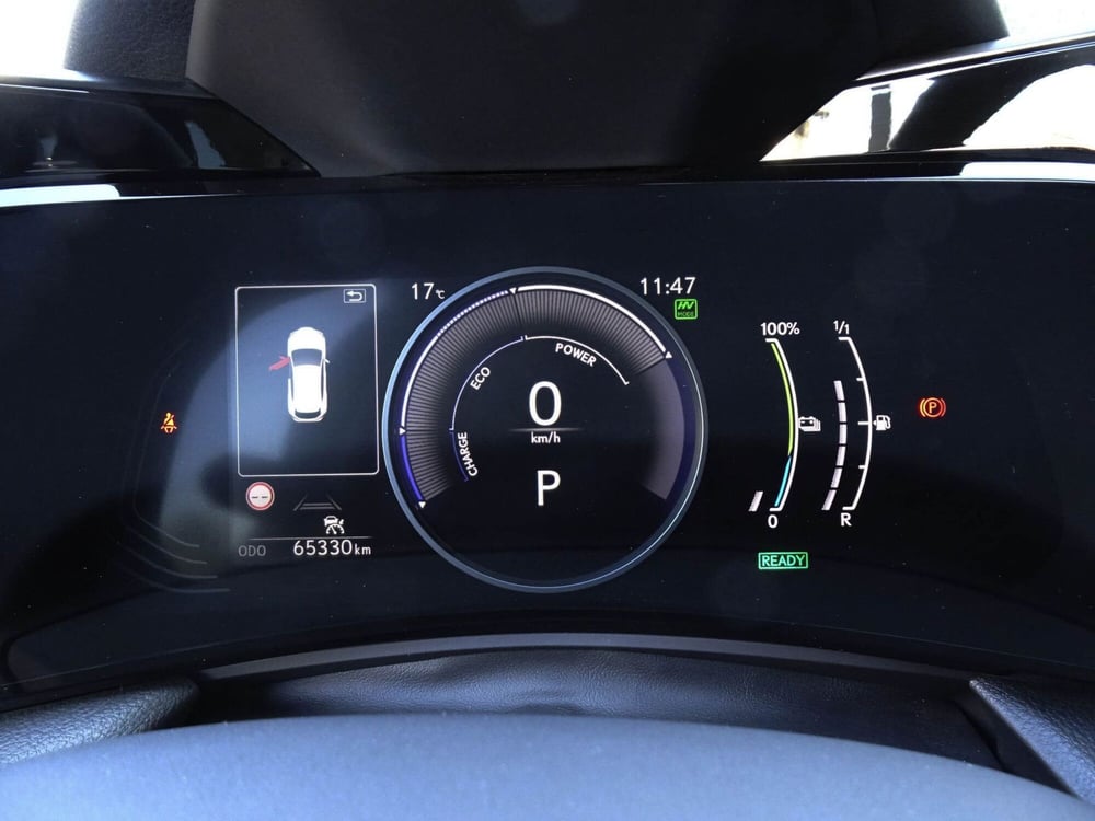 Lexus NX usata a Treviso (15)