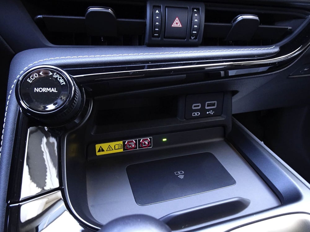 Lexus NX usata a Treviso (19)