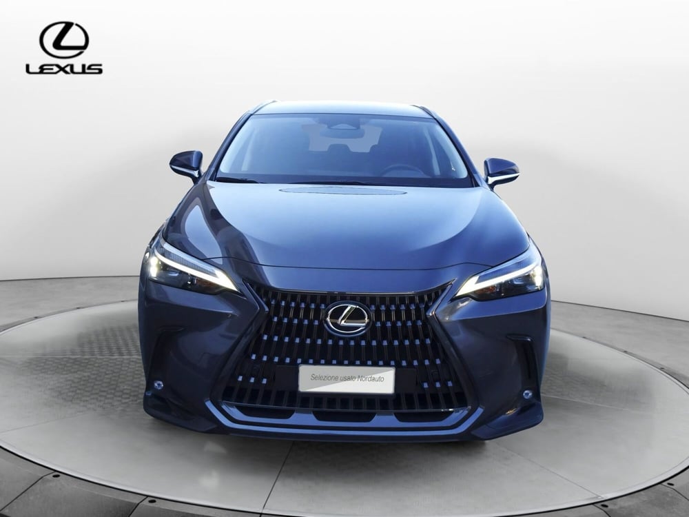 Lexus NX usata a Treviso (2)