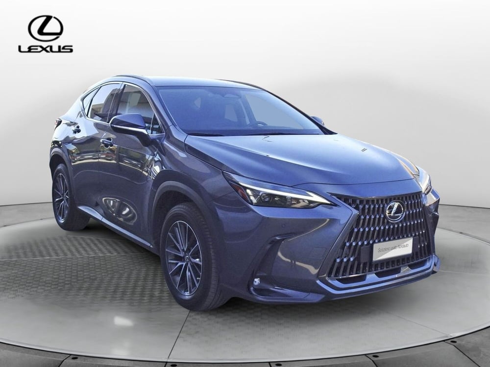Lexus NX usata a Treviso (3)