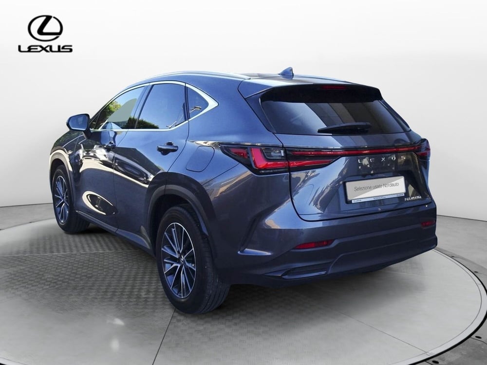 Lexus NX usata a Treviso (7)