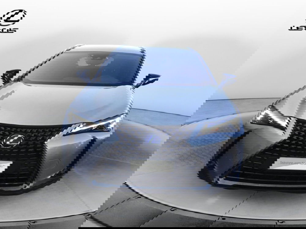 Lexus UX usata a Treviso (2)