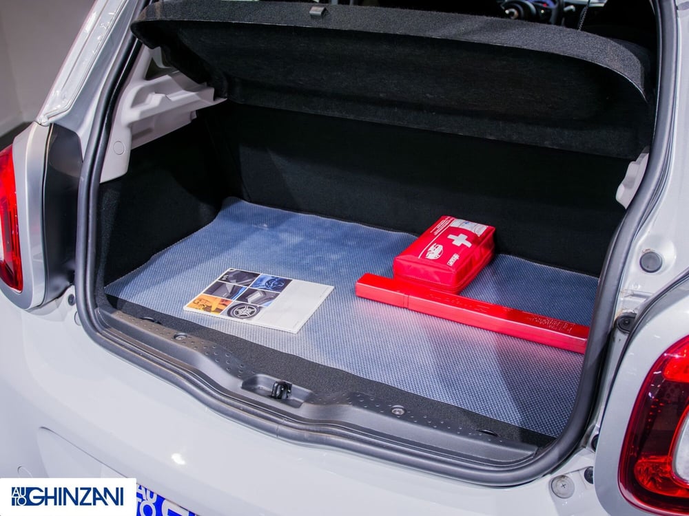 smart forfour usata a Bergamo (12)