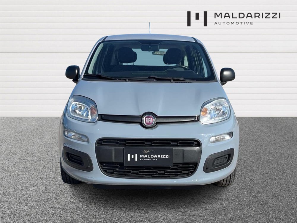 Fiat Panda usata a Bari (2)
