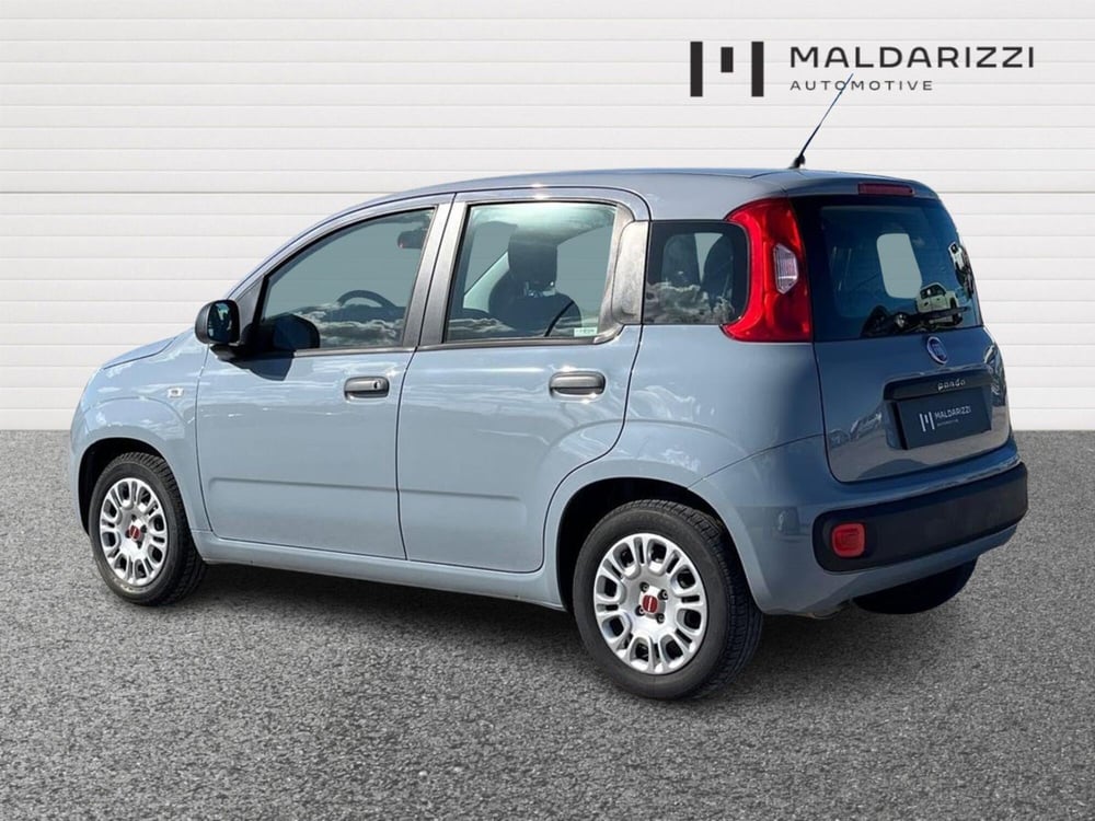 Fiat Panda usata a Bari (4)