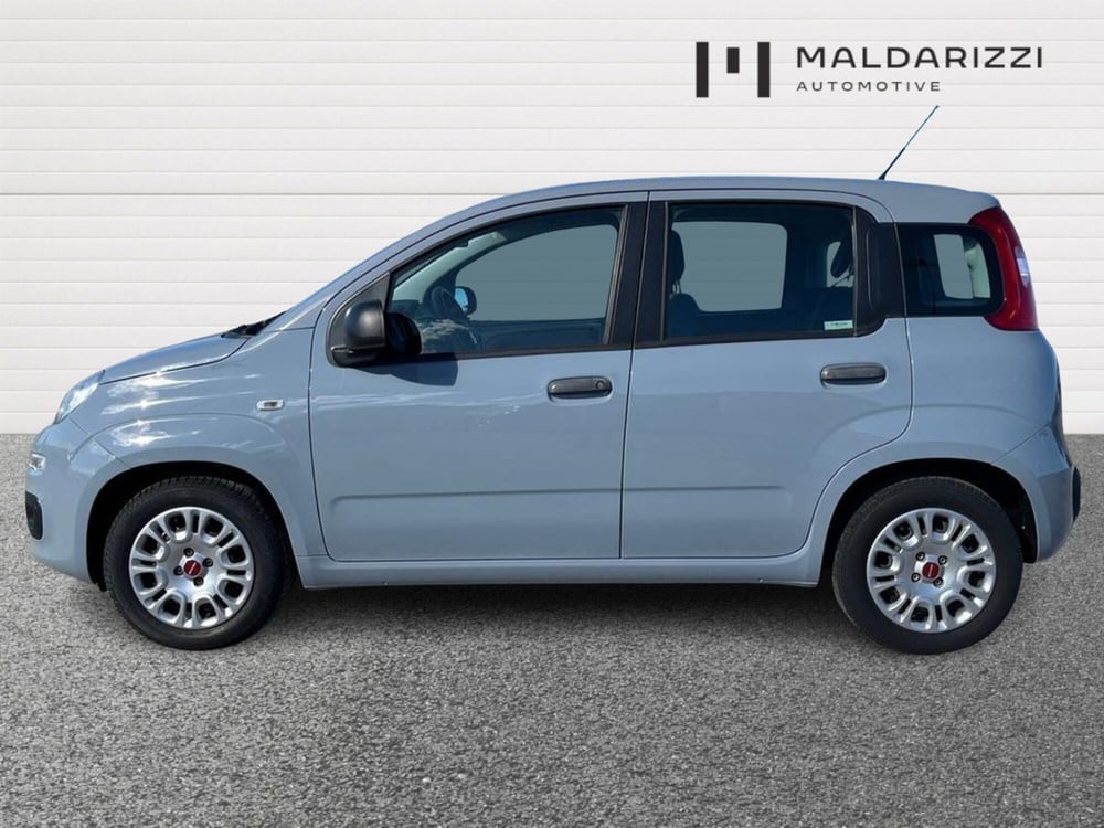 Fiat Panda usata a Bari (5)